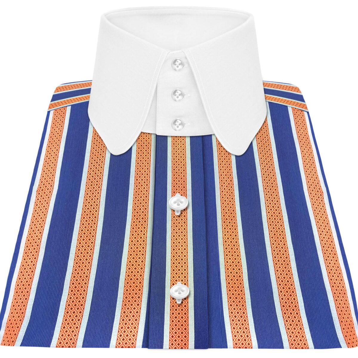 Wide Blue Stripes High Penny Collar 3B